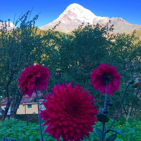 Nino & Zurabi Guest House Kazbegi Bagian luar foto