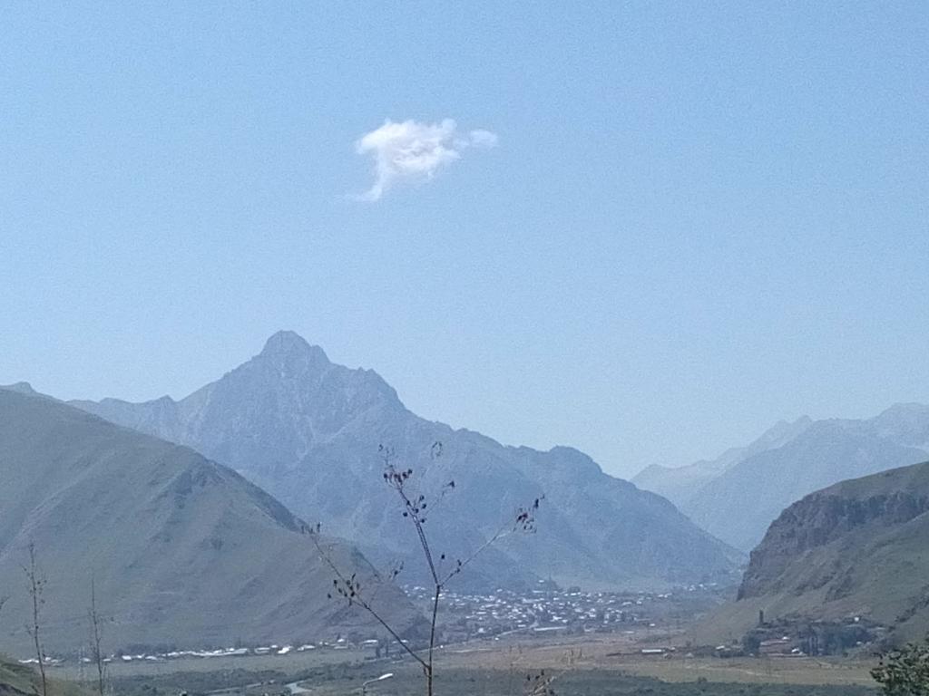 Nino & Zurabi Guest House Kazbegi Bagian luar foto