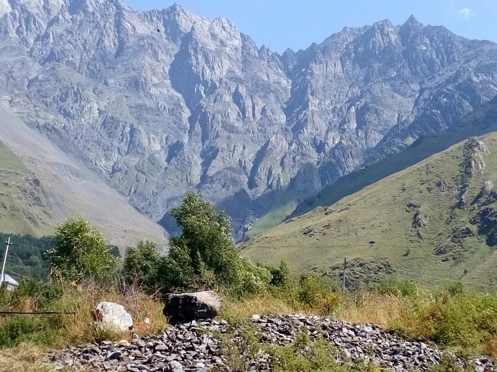 Nino & Zurabi Guest House Kazbegi Bagian luar foto