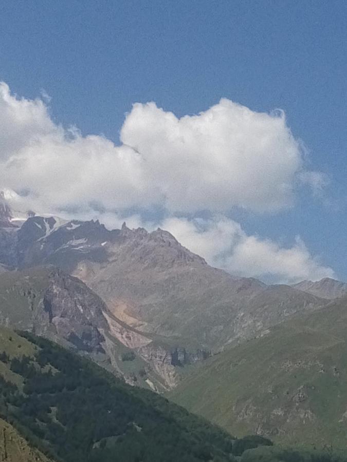Nino & Zurabi Guest House Kazbegi Bagian luar foto
